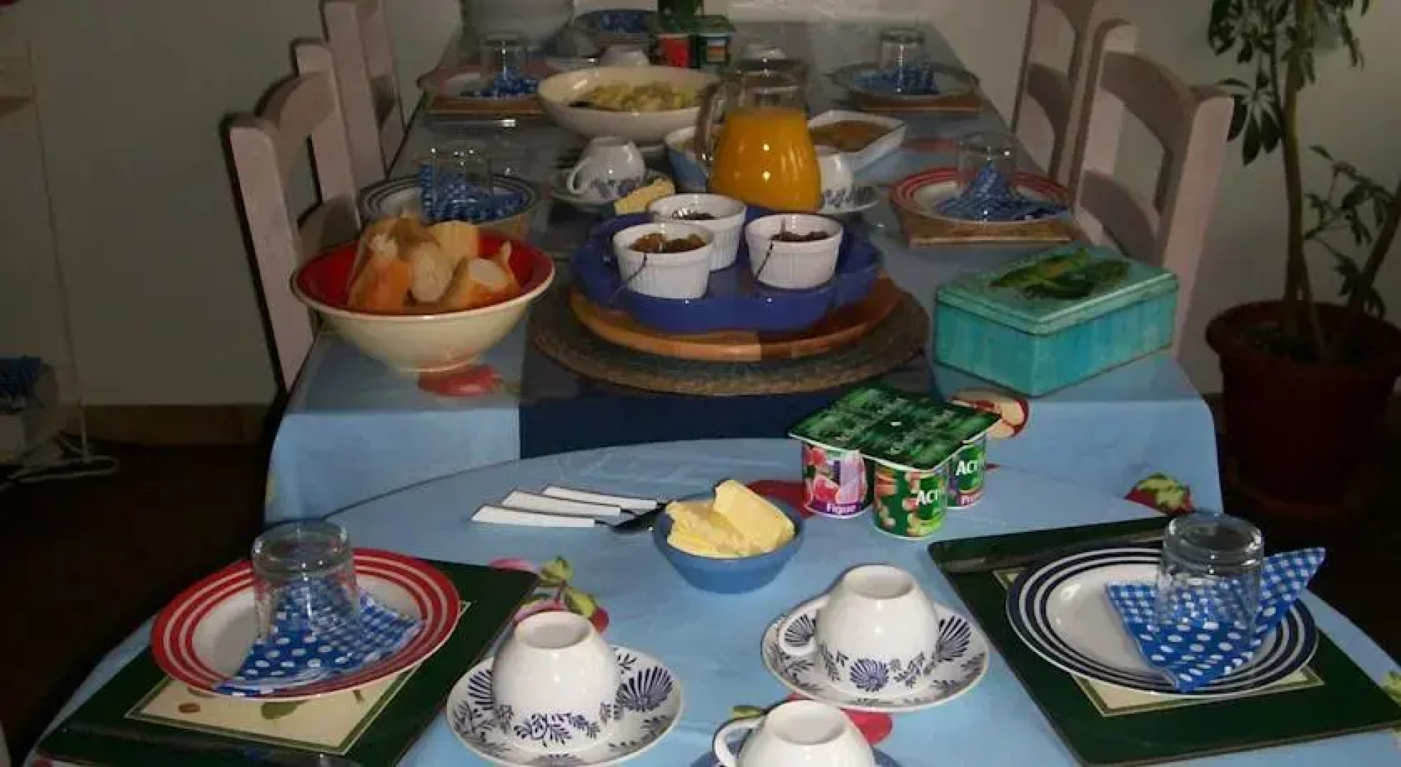 Le Chat Bleu Chambres dHotes B&B