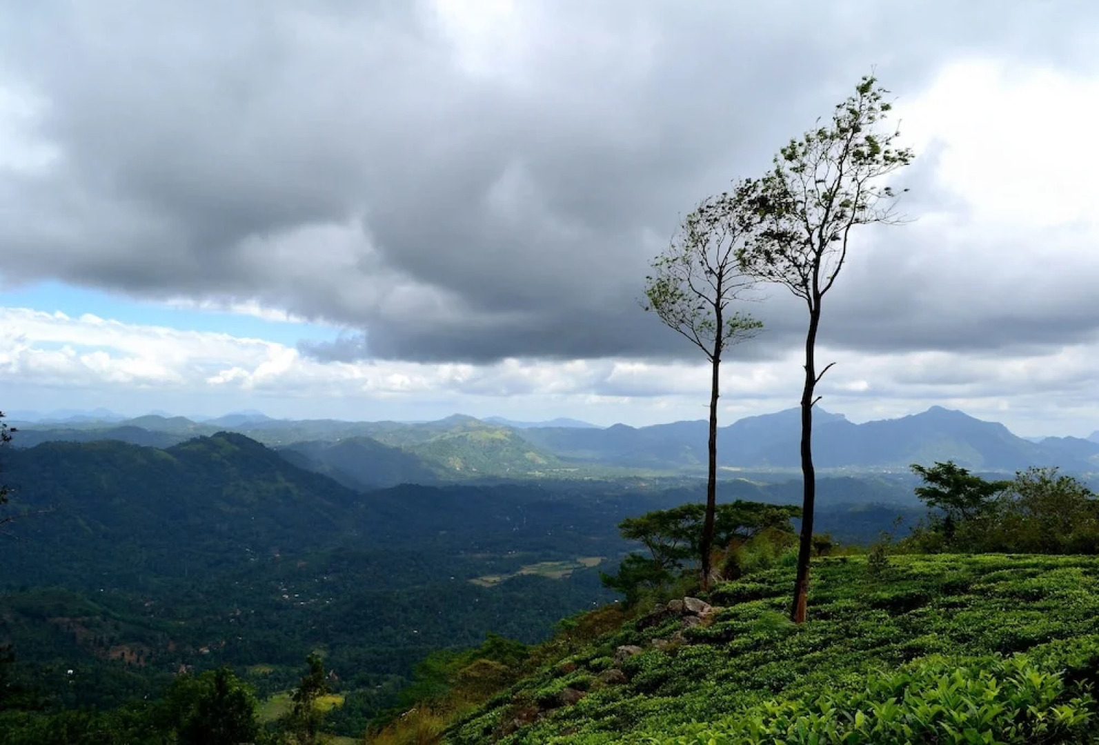 Green View Holiday Resort