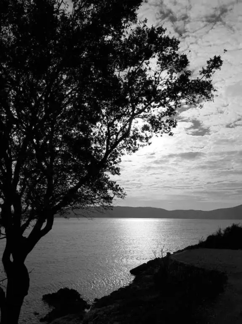 Seaside Vacation Rental 4Tuna