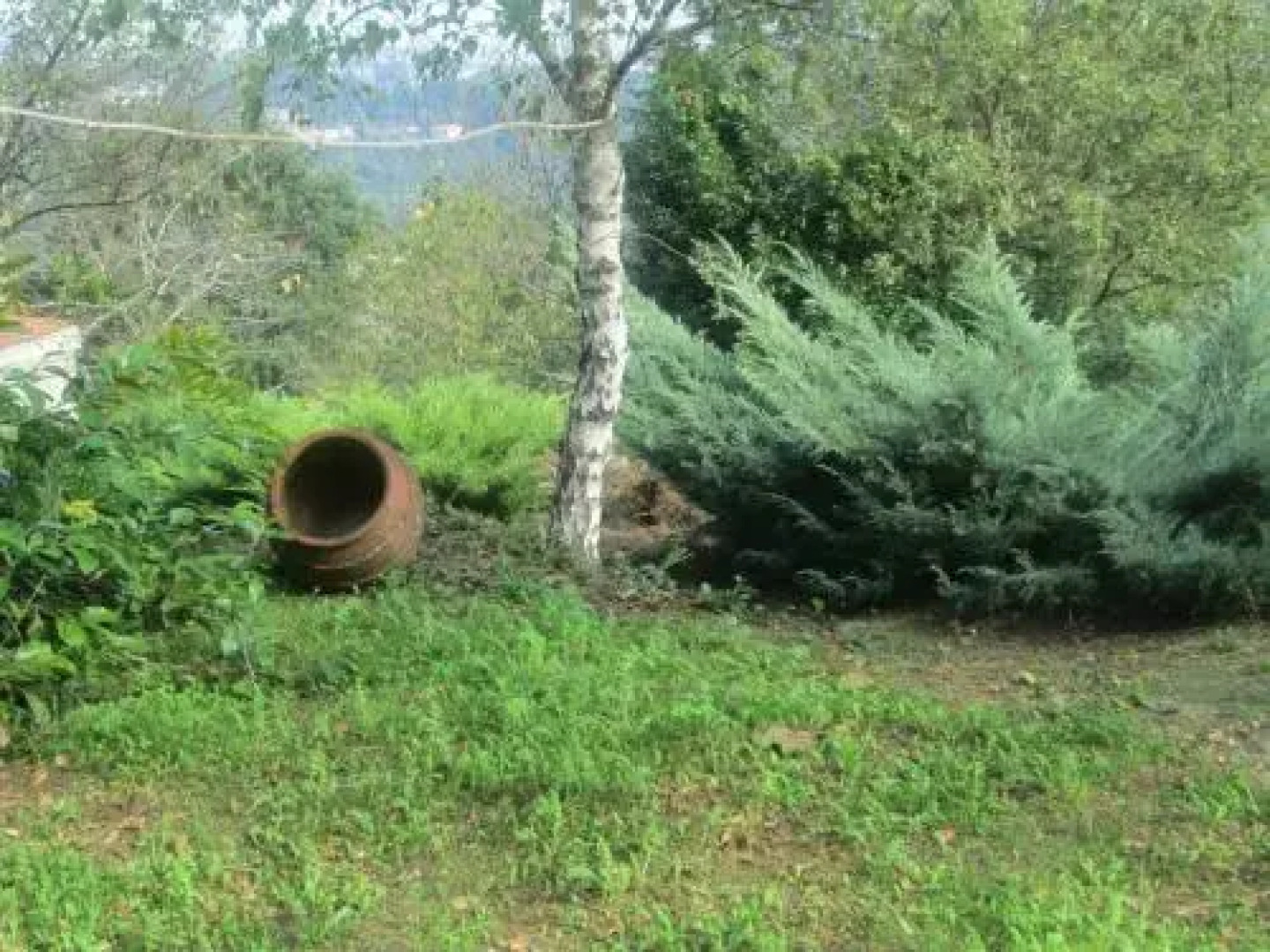 Quinta De Abol De Baixo