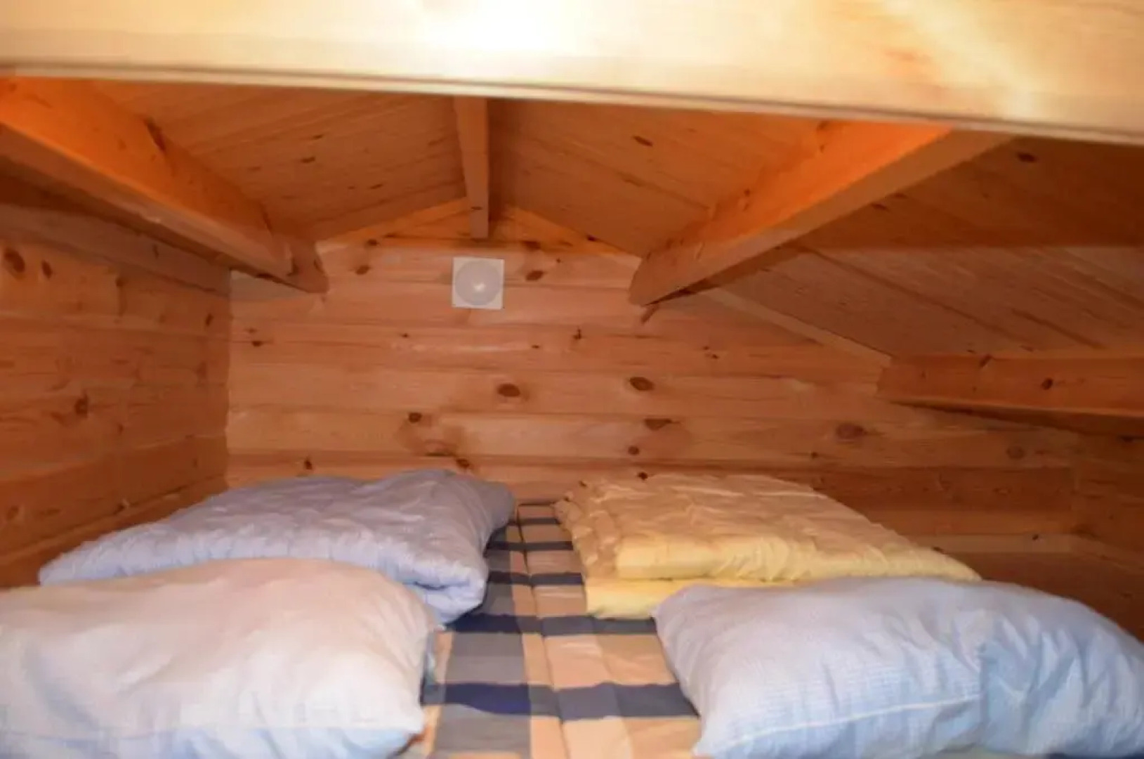 Steiner's Camping & Lodge