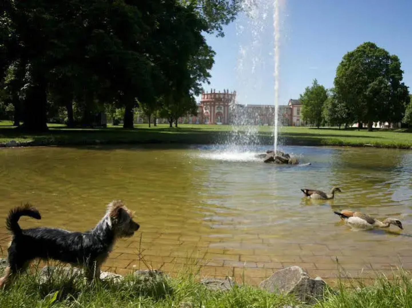 Hotel am Schlosspark