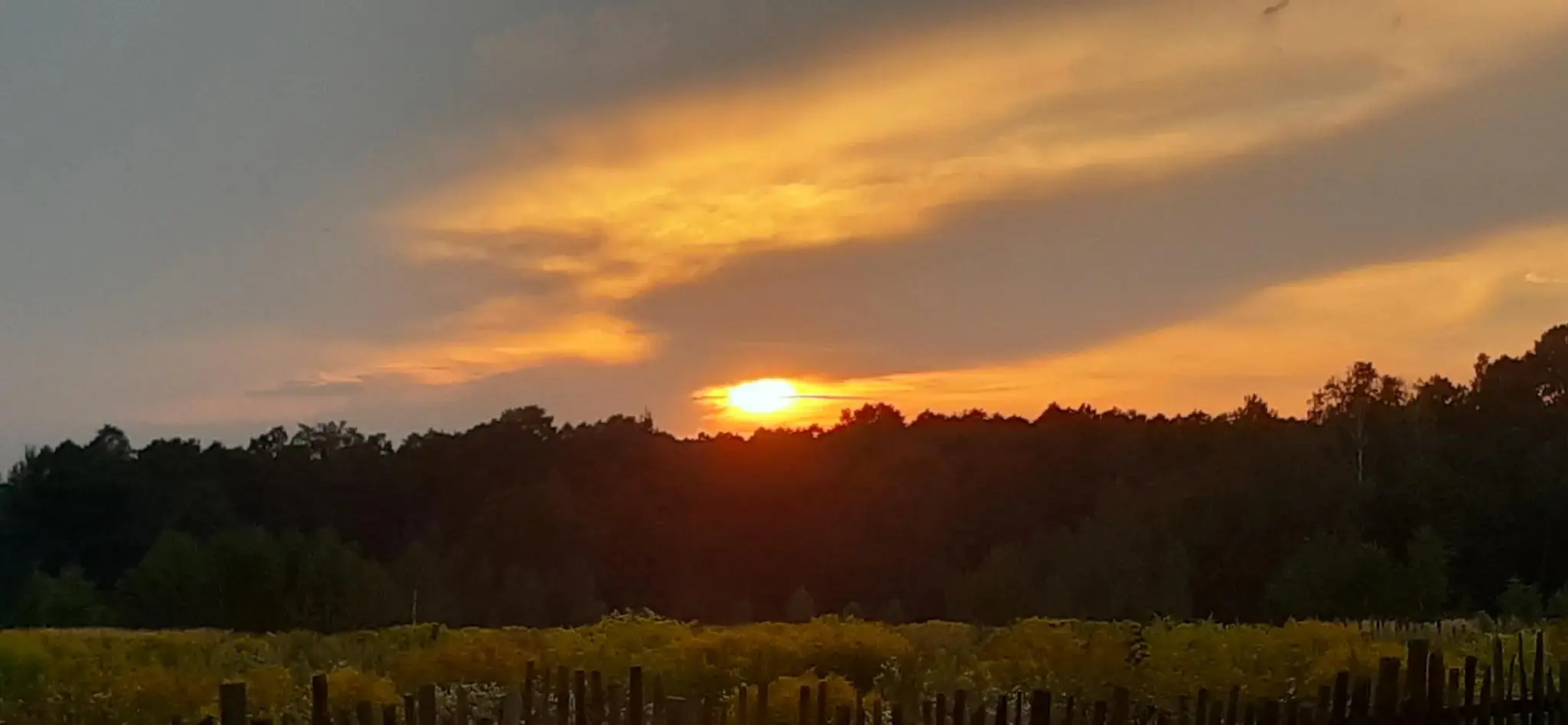 Агроусадьба Солнечный домик