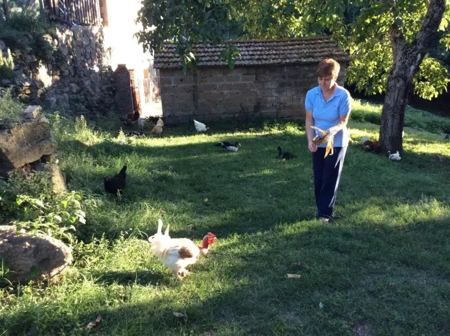 Agriturismo Il Morello