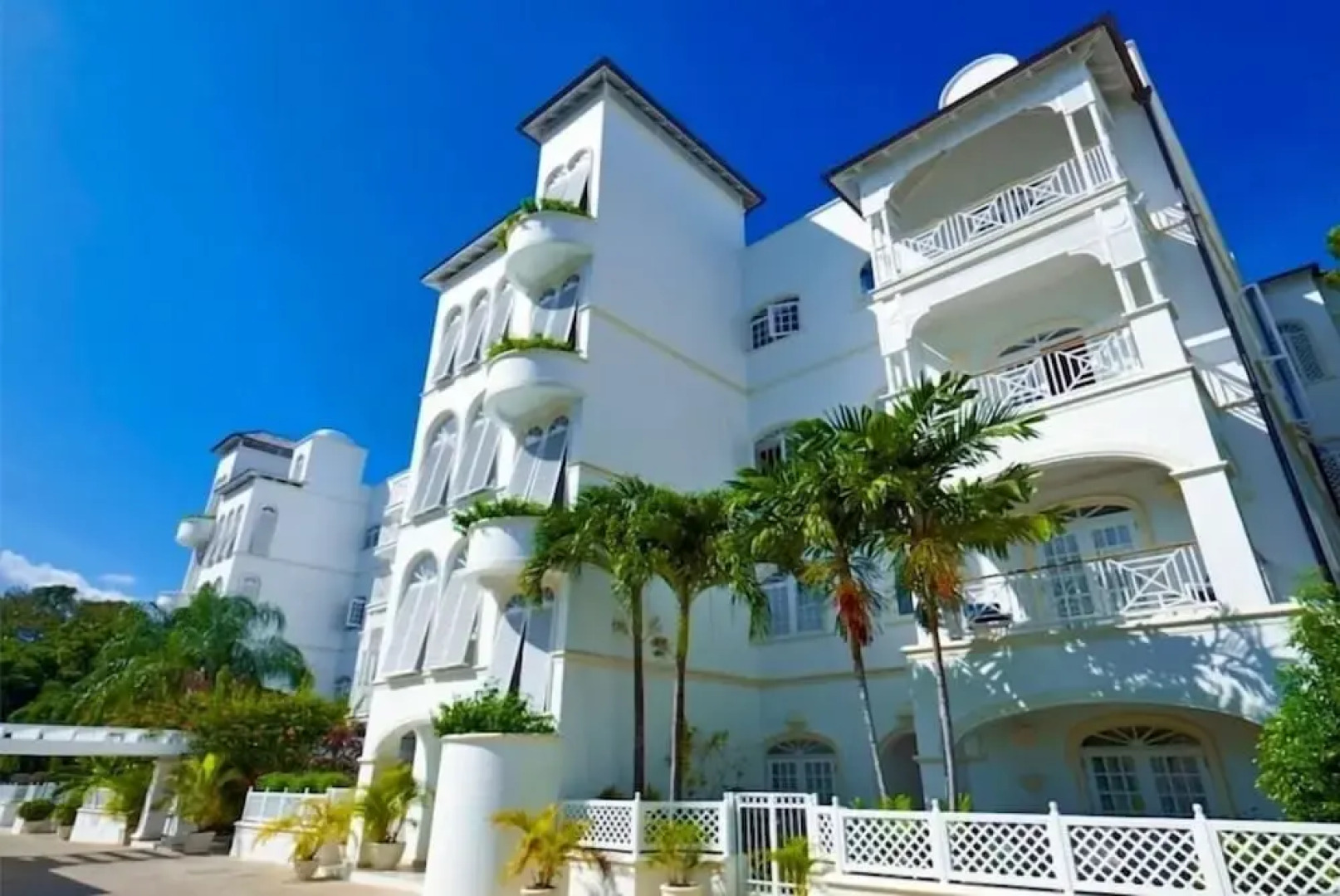 Old Trees 104 - Sunset