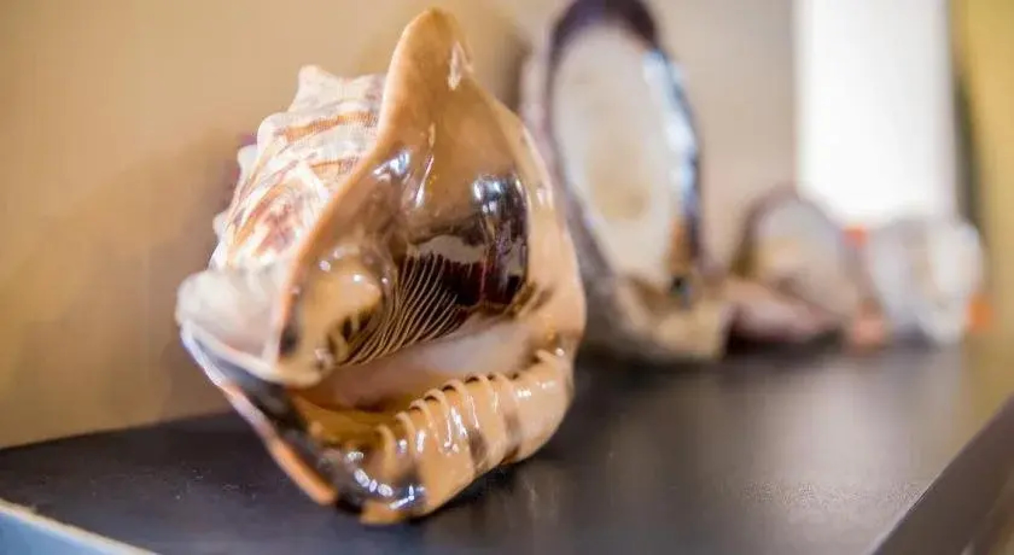 Los Balcones de Mompiche