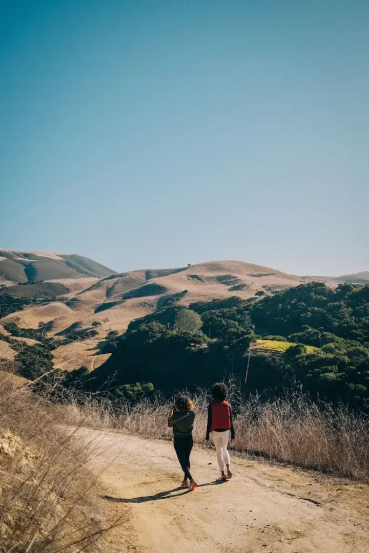 Holman Ranch Estate Vineyard & Winery