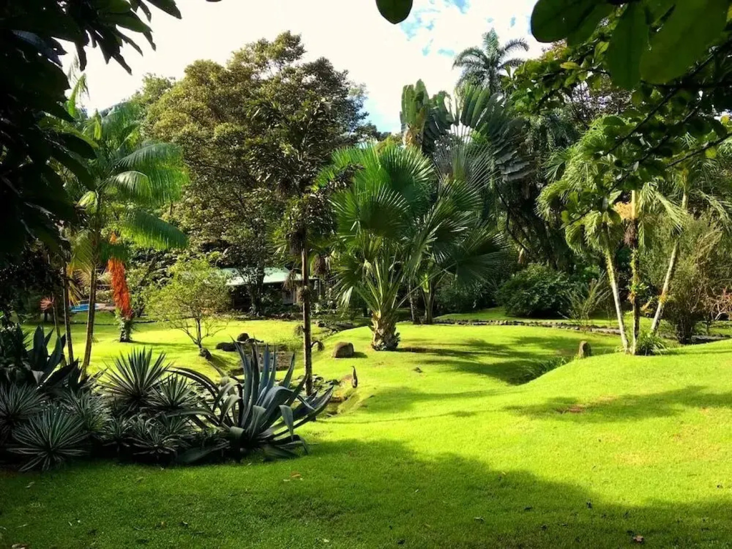 Buena Onda Jungle Lodge