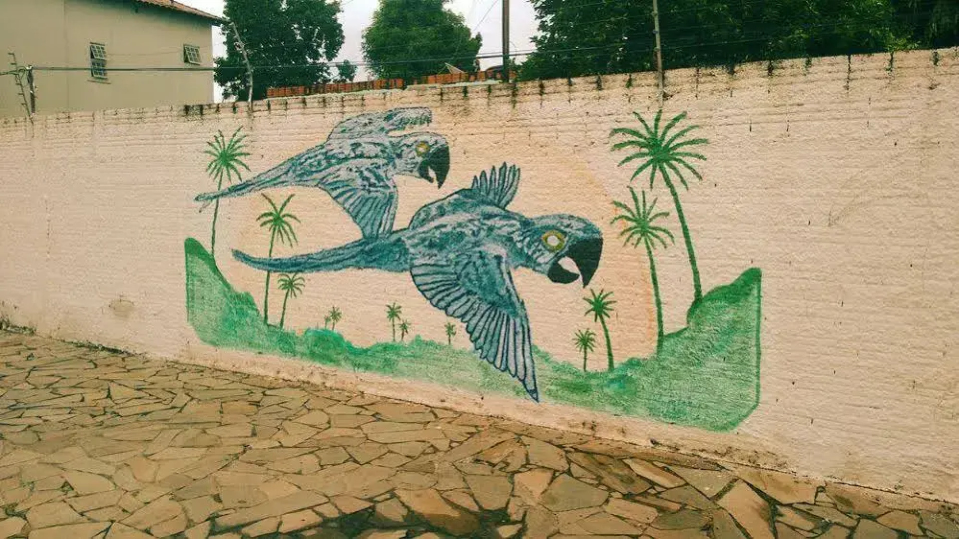 Corumba Hostel Pantanal