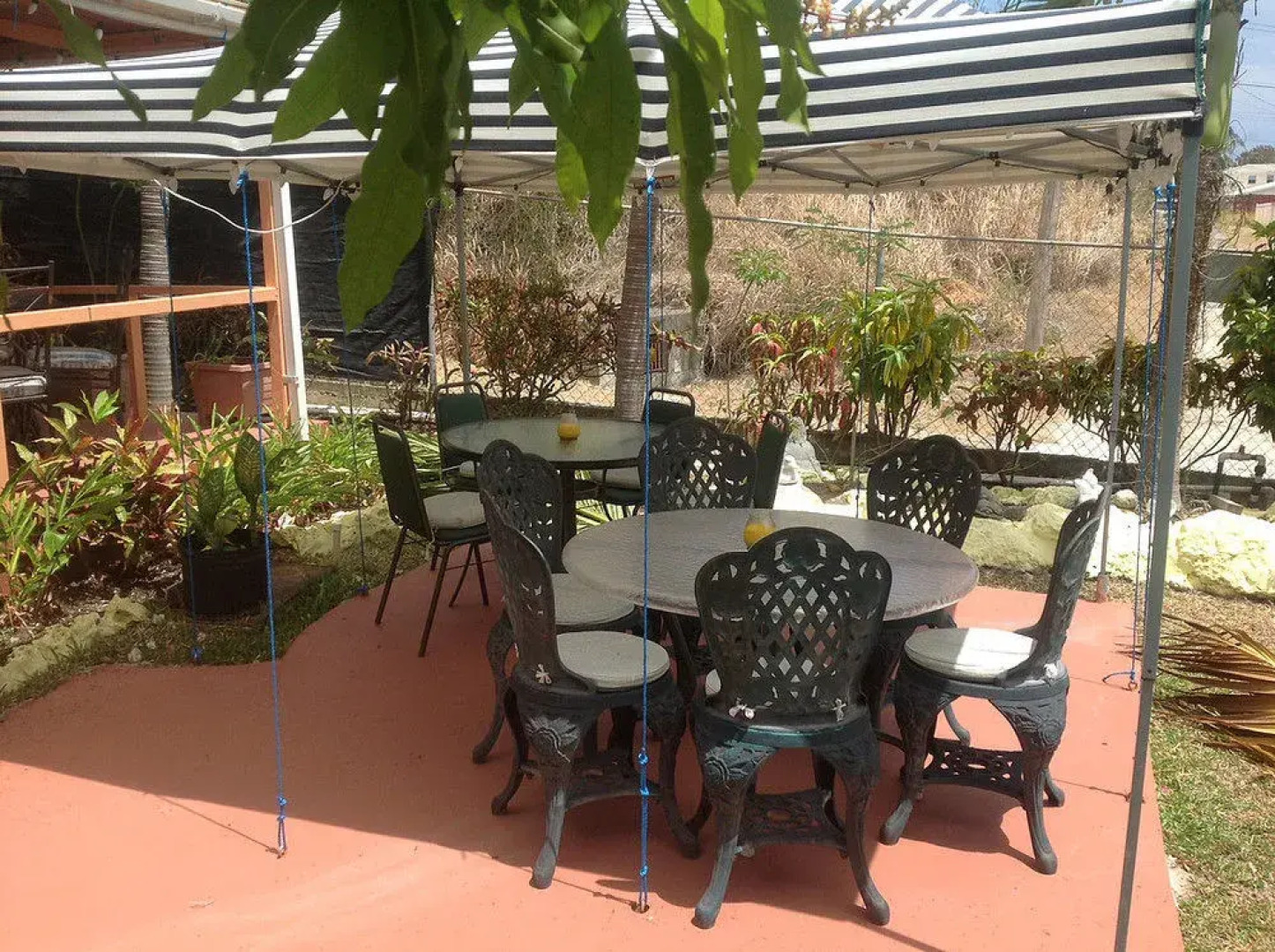 Palm Paradise Guest House and 2 Apartments