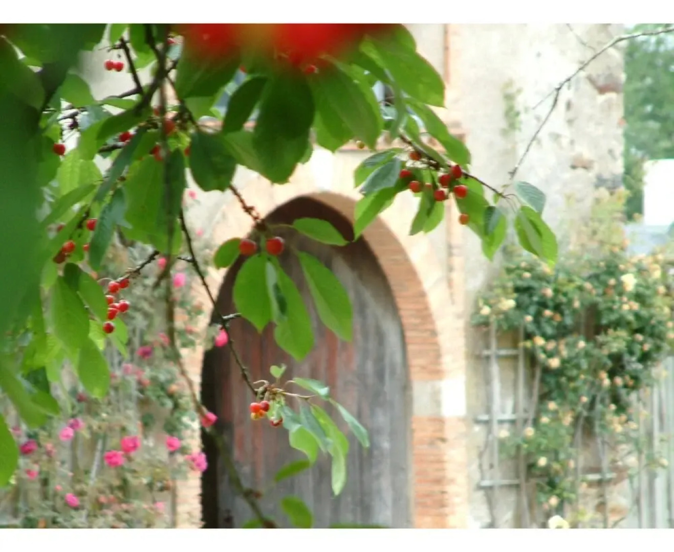 Château de Bois-Briand