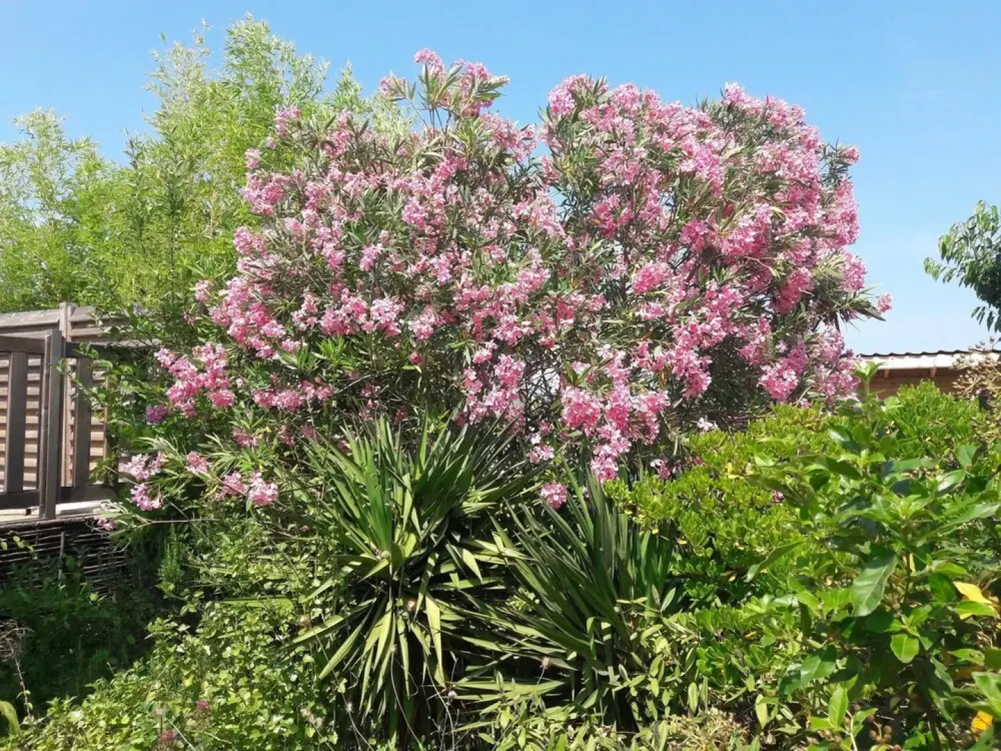 House With 2 Bedrooms in Magalas, With Pool Access, Enclosed Garden an