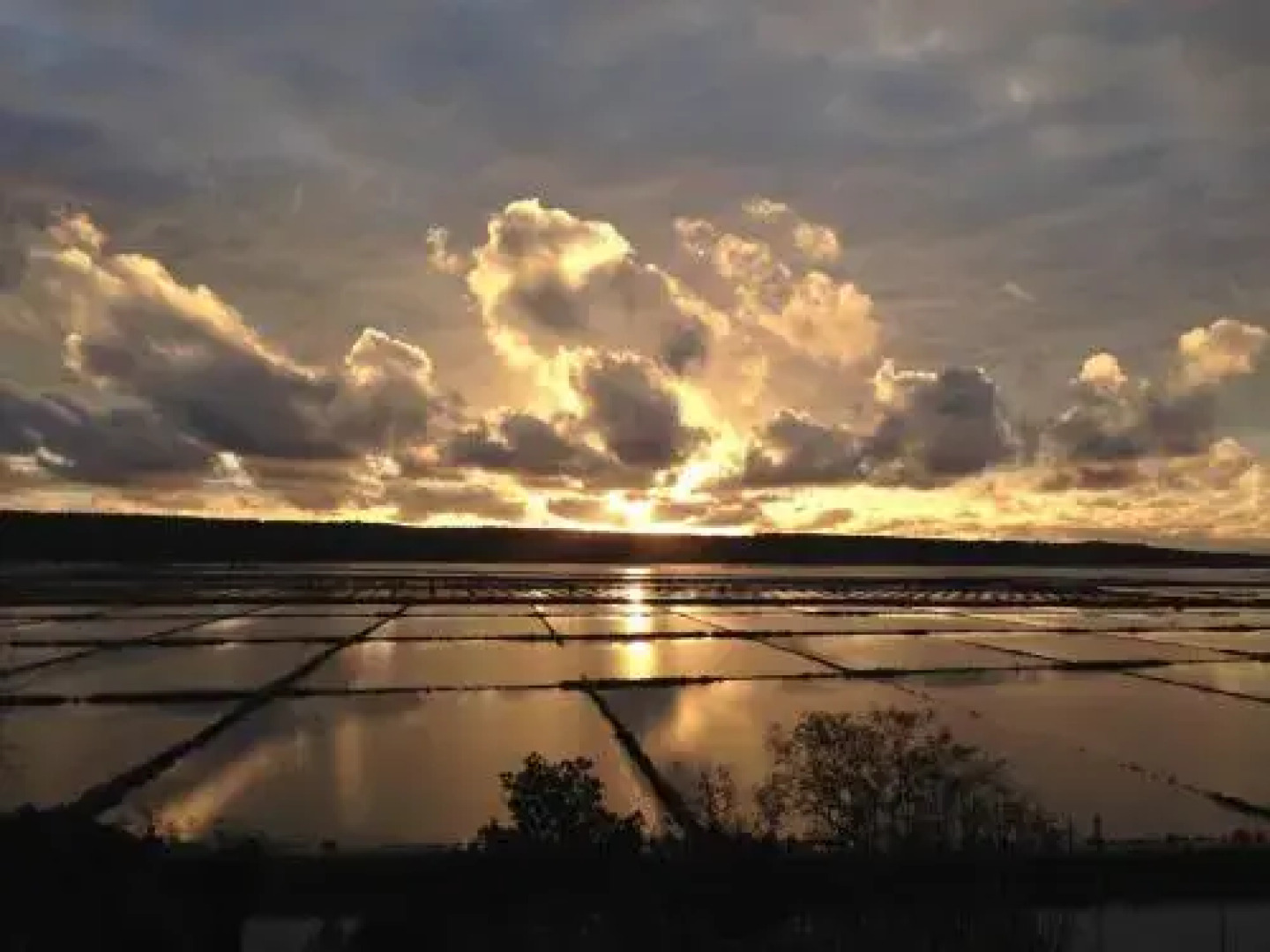 Villa Saline Apartments Portorož