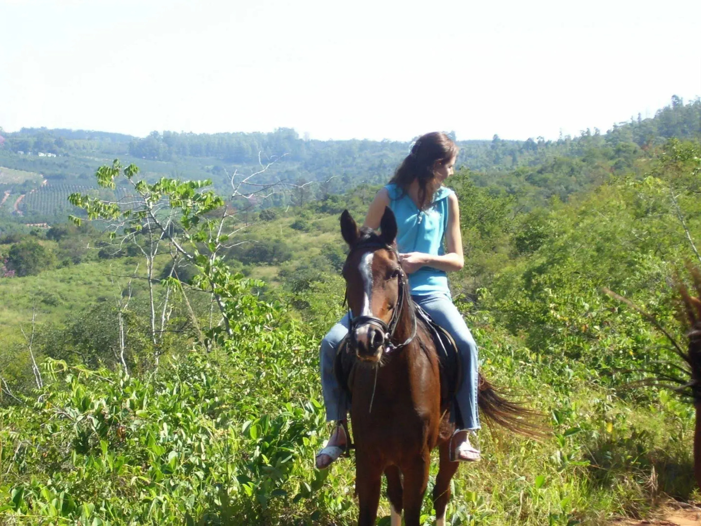 Hamilton Parks Country Lodge