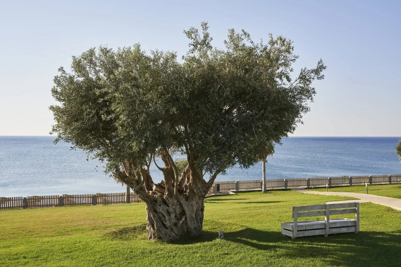 Kolymbia Beach Hotel