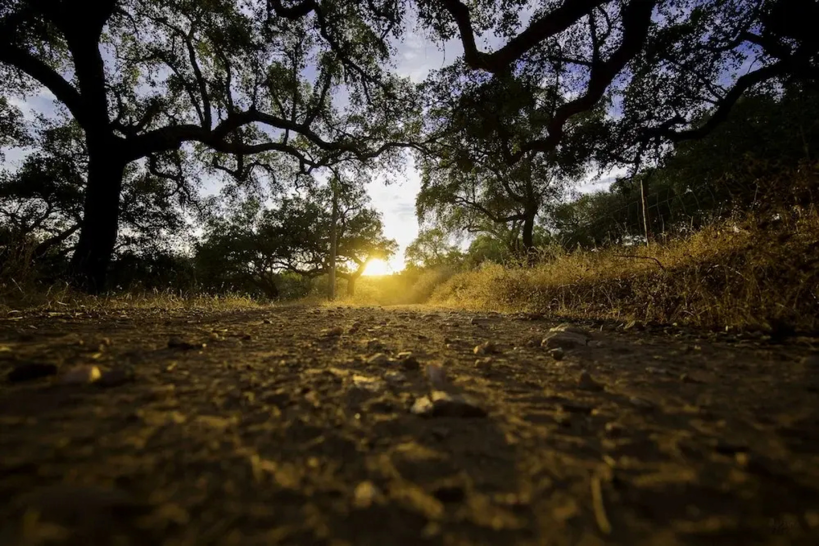 Herdade da Maroteira