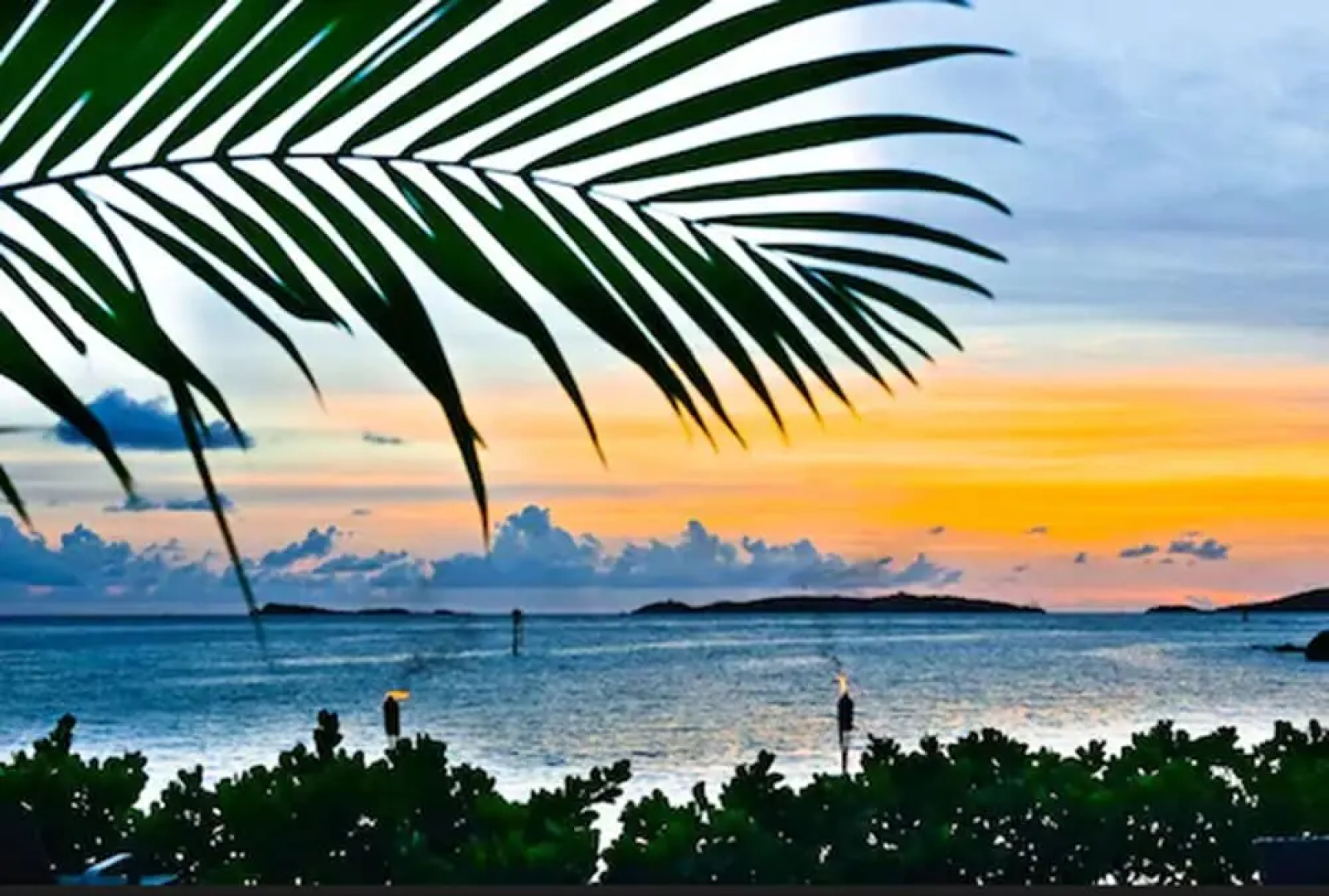 Sea Shore Allure