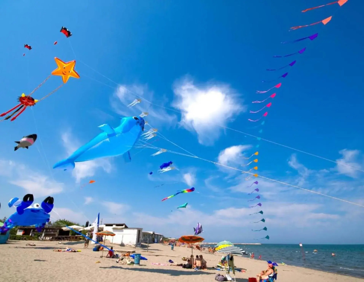 Happy Camp Rosapineta Camping Village