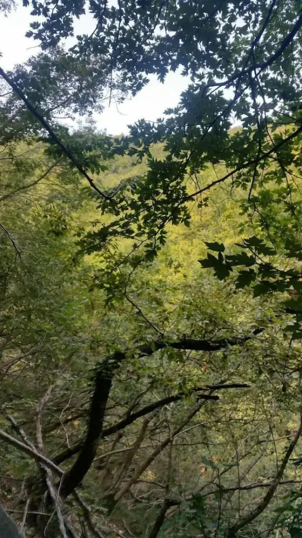 Kirkahvesi Garden - Campsite