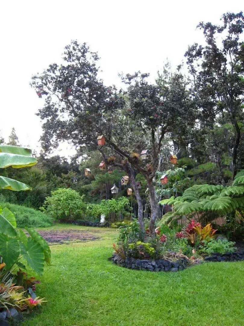 Volcano Artist Cottage