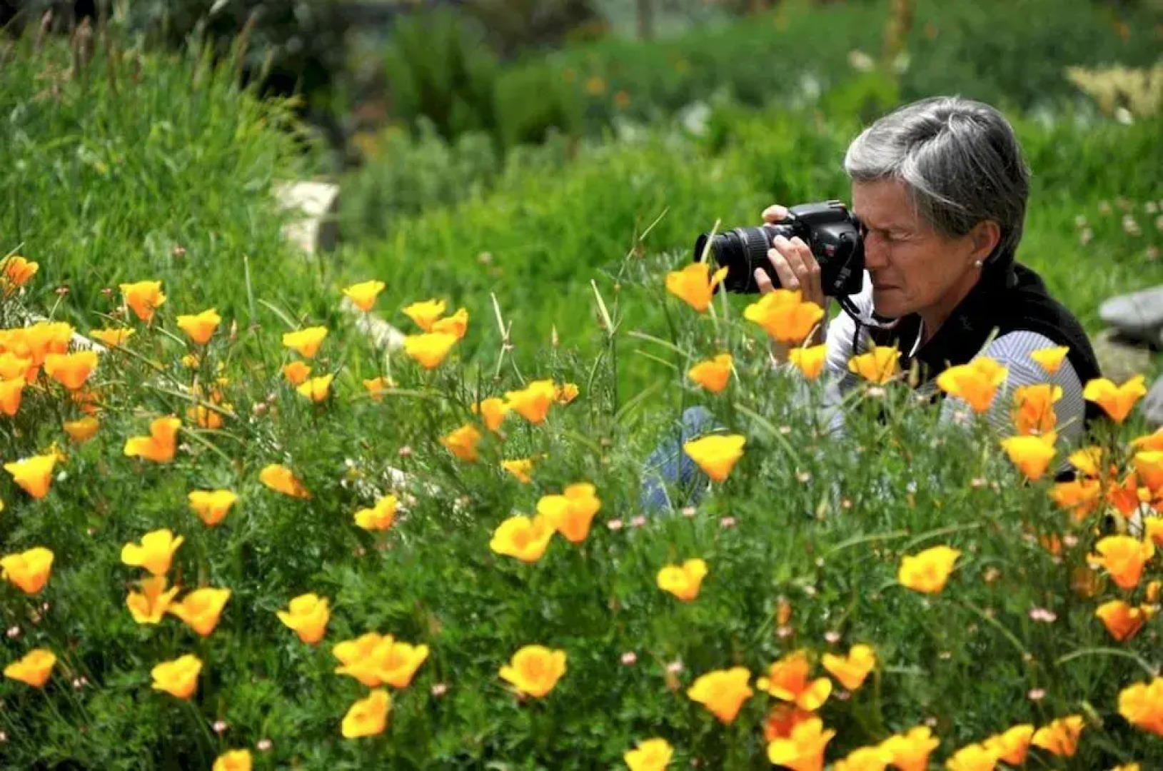 My SachaJi Wellness Ecolodge