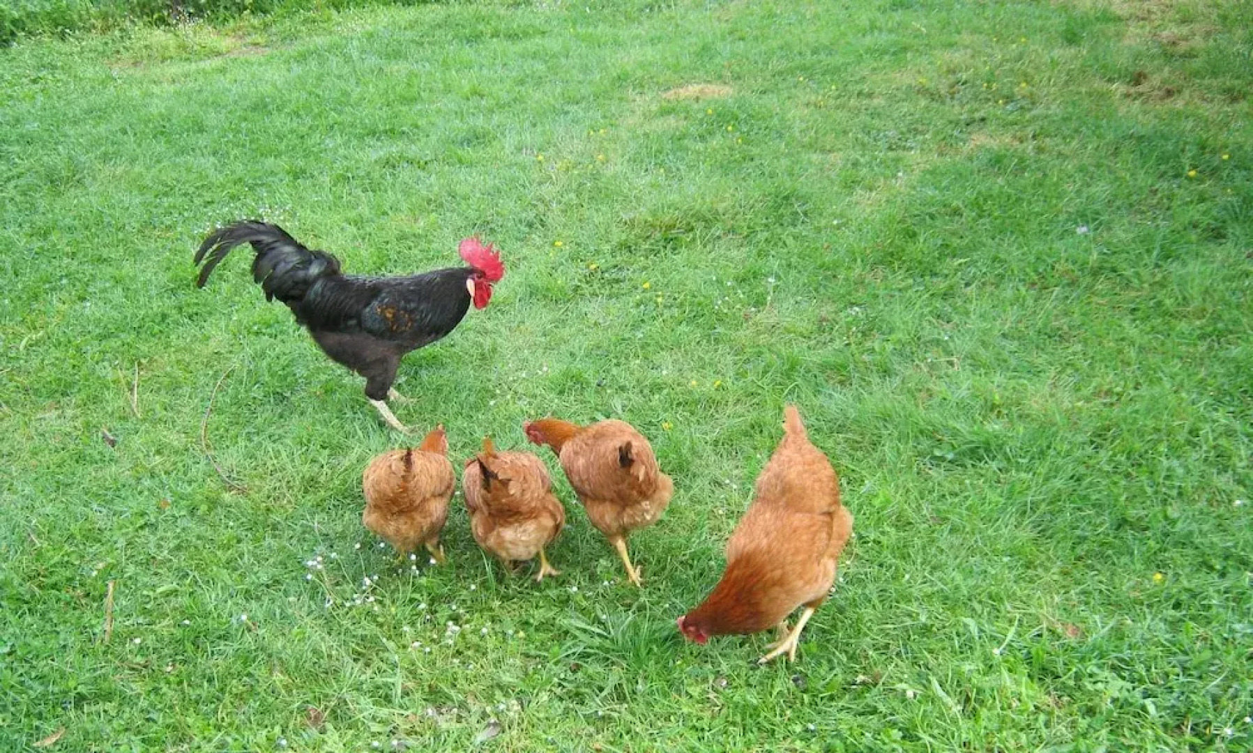 Le Papillon at le paradis