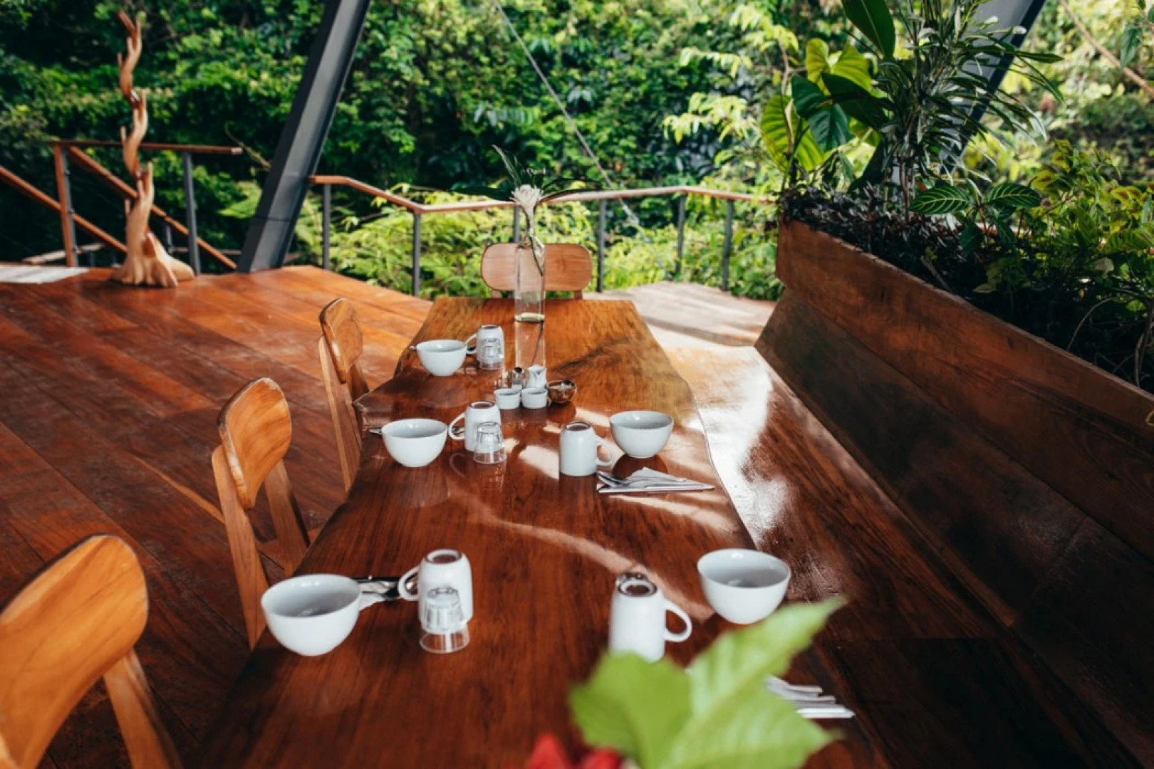 La Loma Jungle Lodge & Chocolate Farm