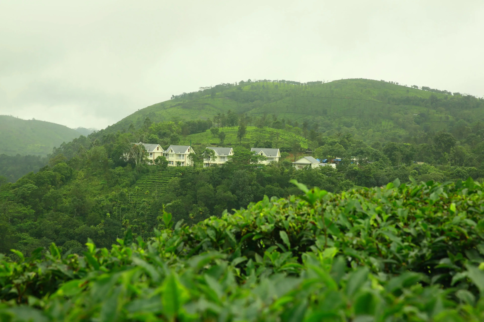 The Grasmere Resorts