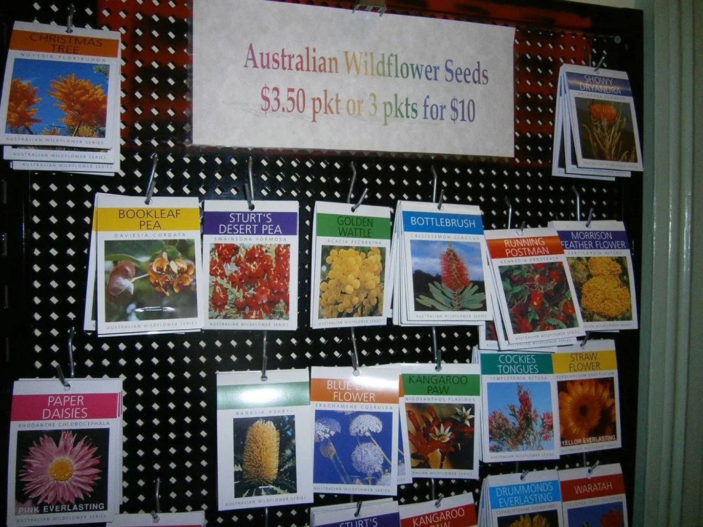 The Grand Guesthouse