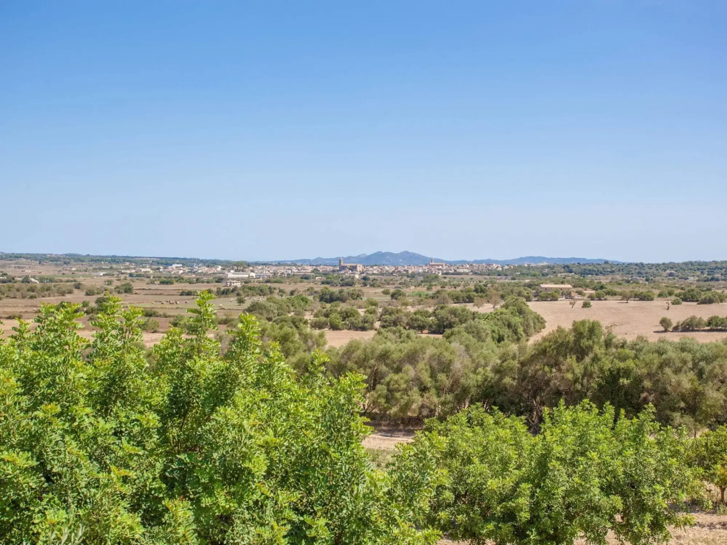 SA FONT - Villa for 6 people in Petra.