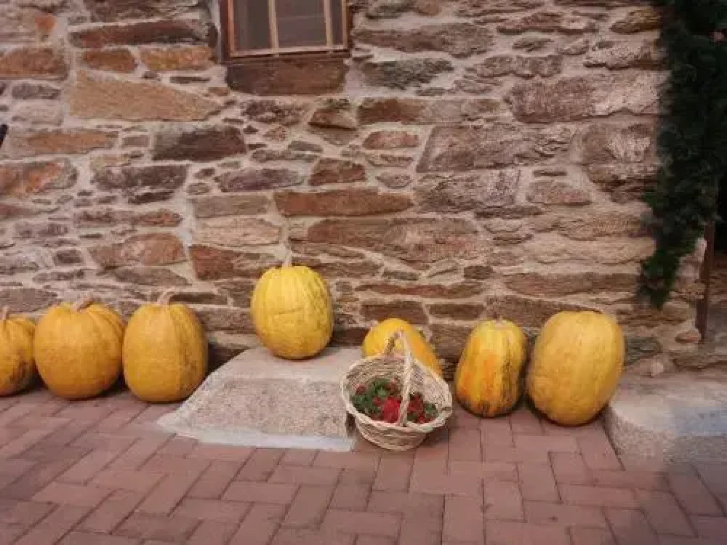 Refúgio da Casa de Campo dos Távoras