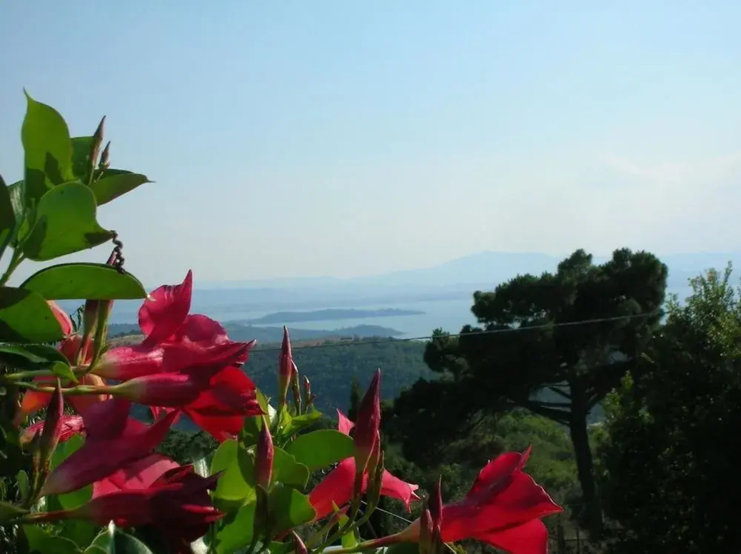 Locanda del Galluzzo