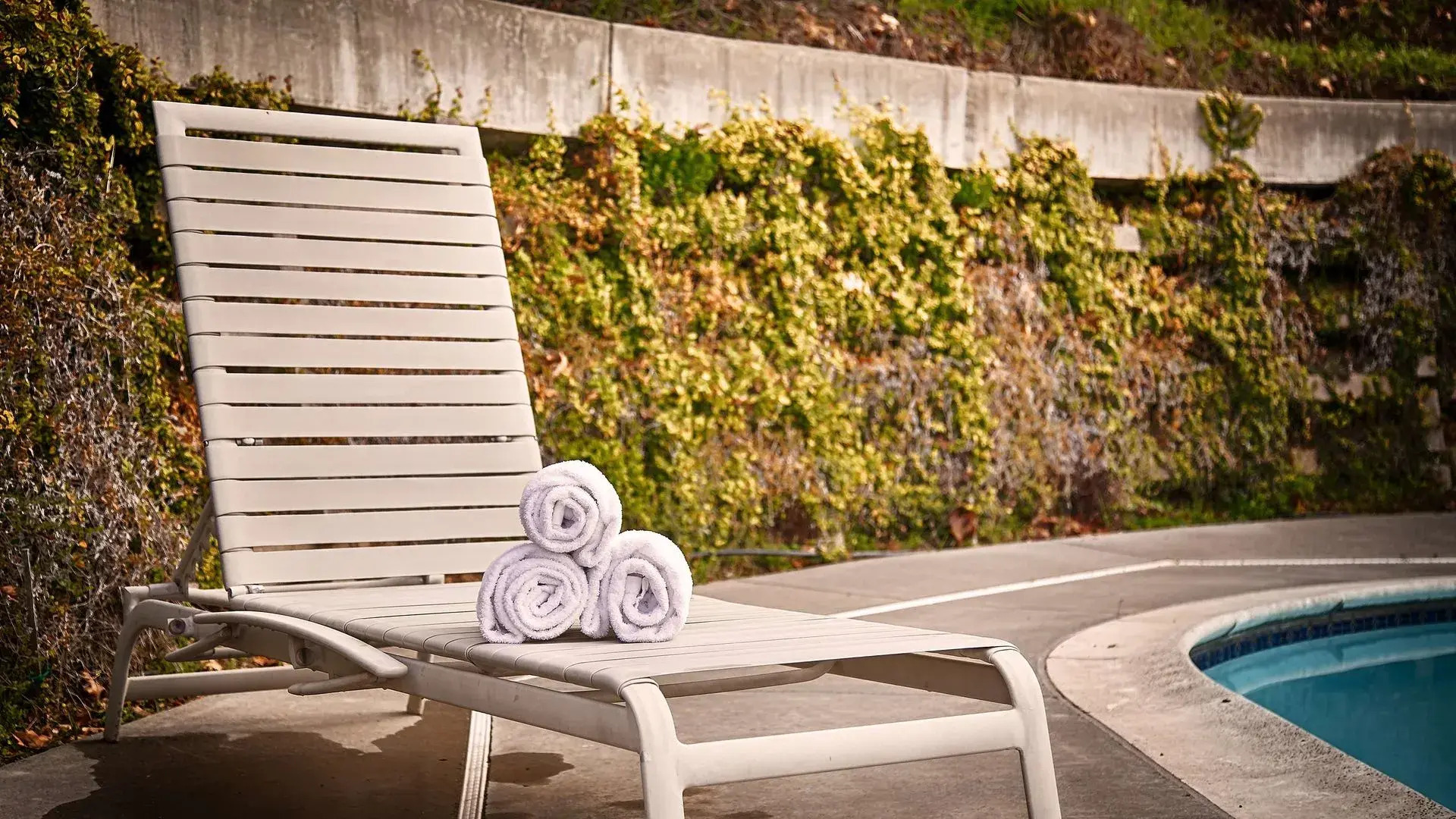 Best Western Willits Inn