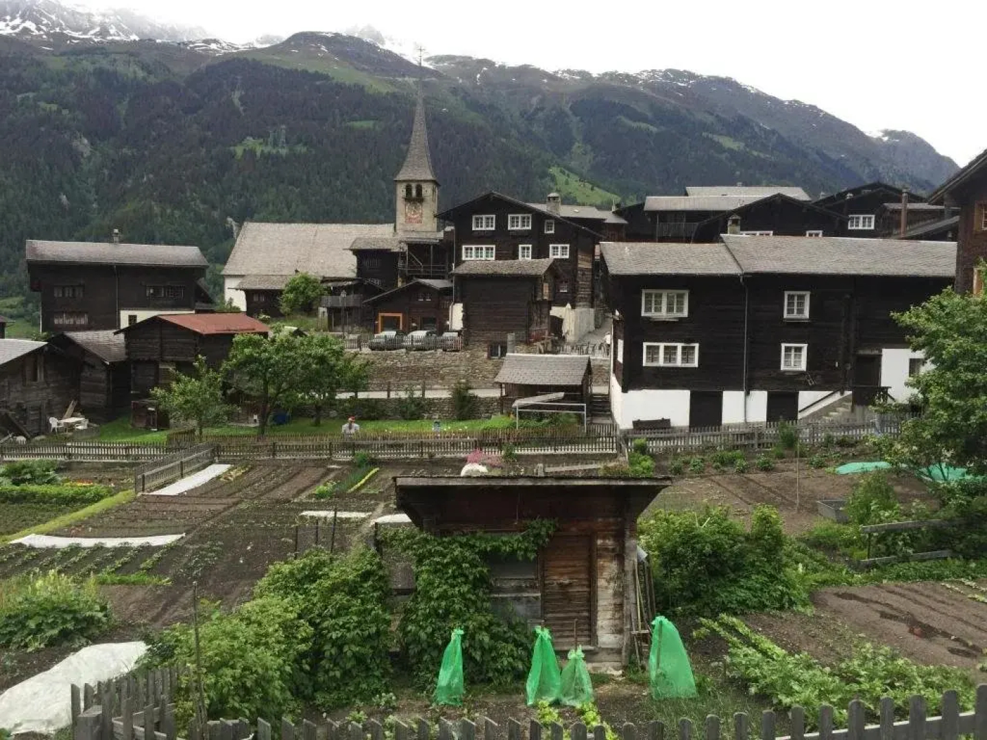 Hotel Restaurant Alpenblick