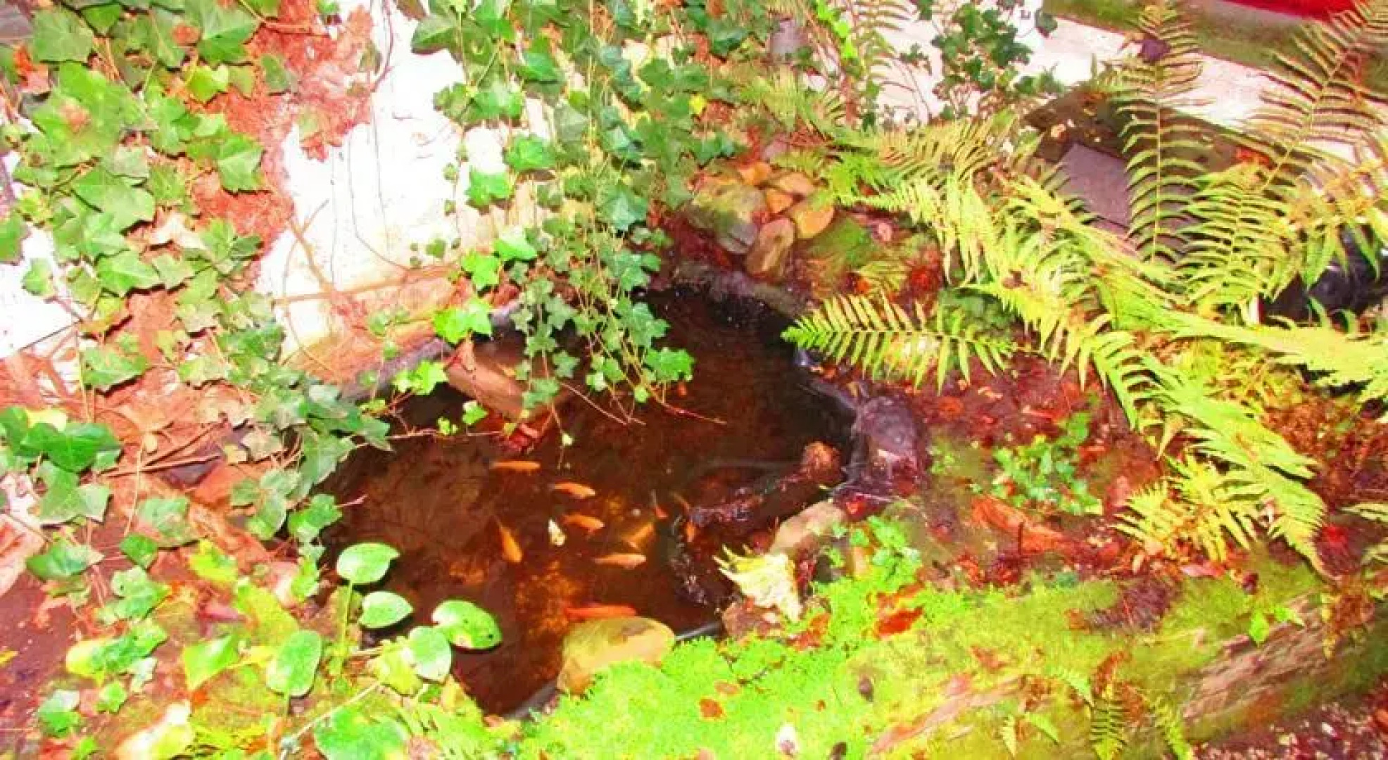 Bed and Breakfast Cauberg