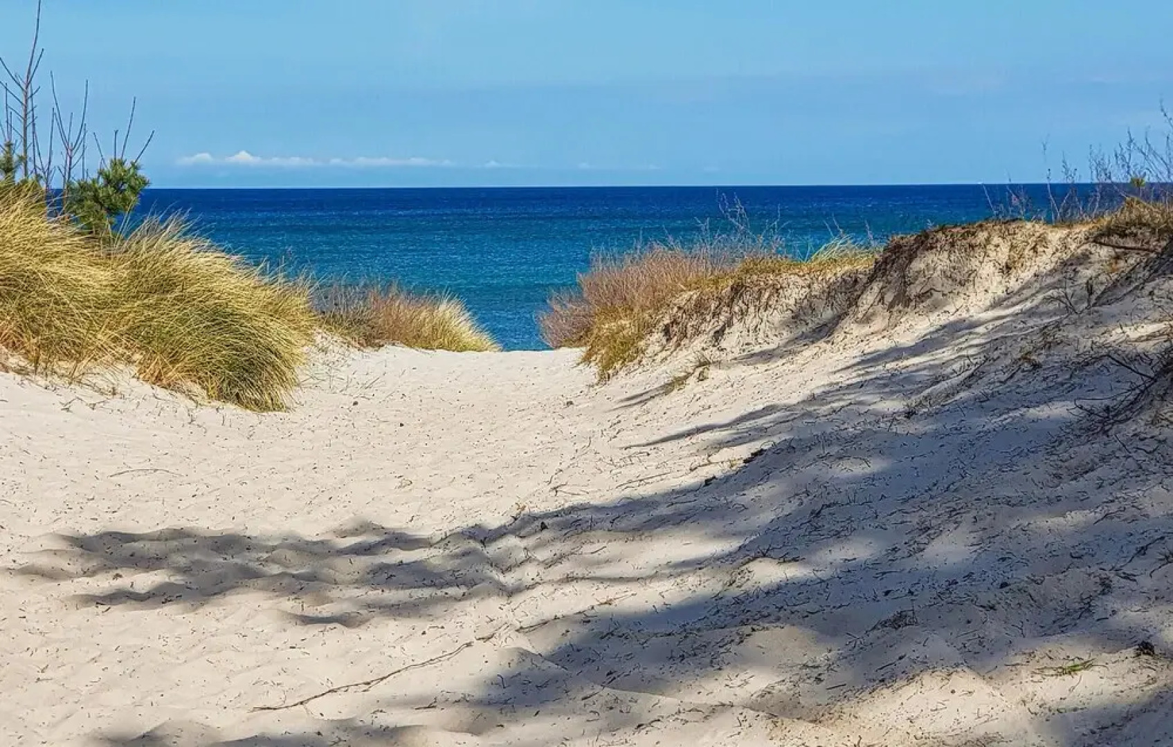 Amazing Apartment in Sagard With 1 Bedrooms and Wifi