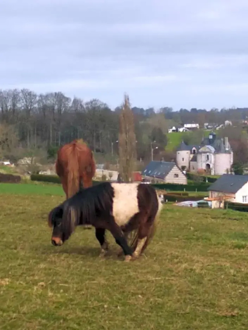 Chez Papito et Mamito