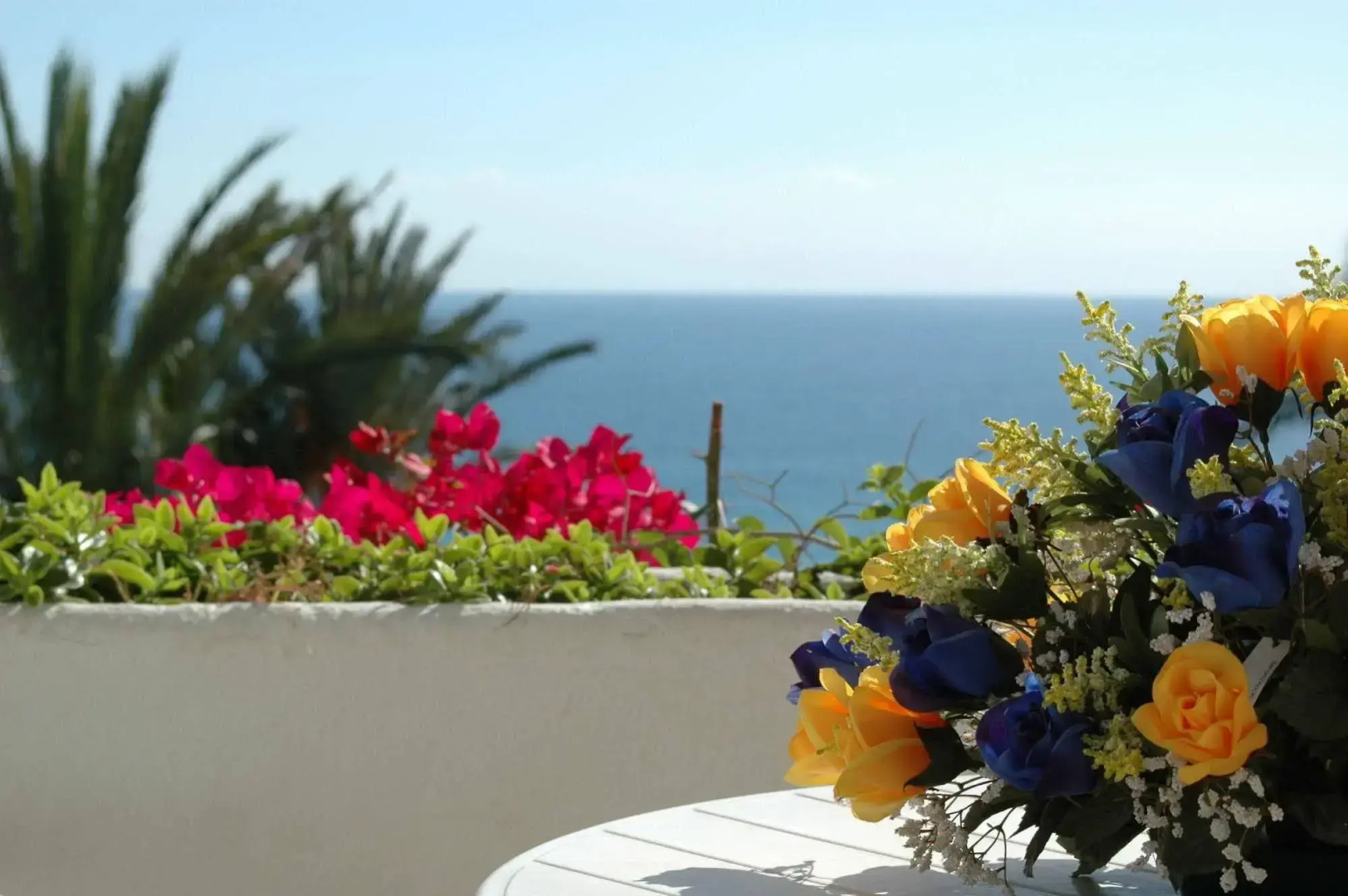 Apartamentos Torrenueva Park