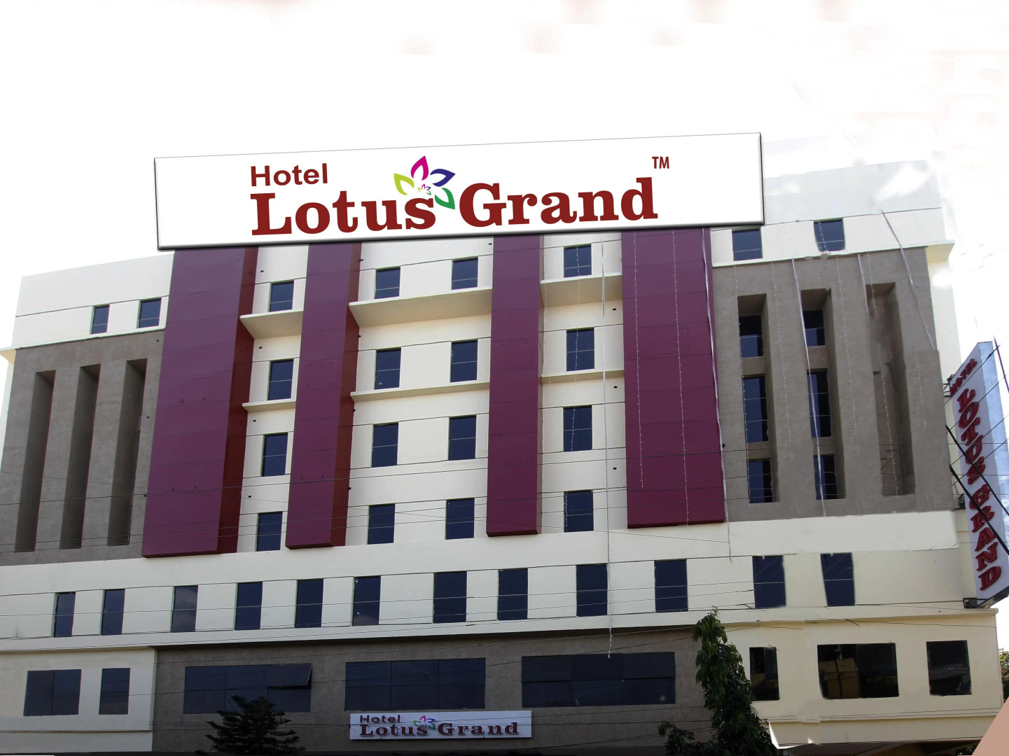 Collection O 3169 Hotel Lotus Grand