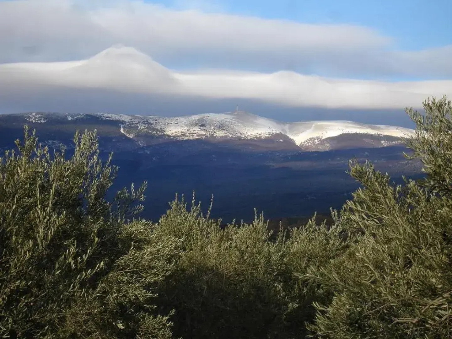 La roulotte Chic et Boheme