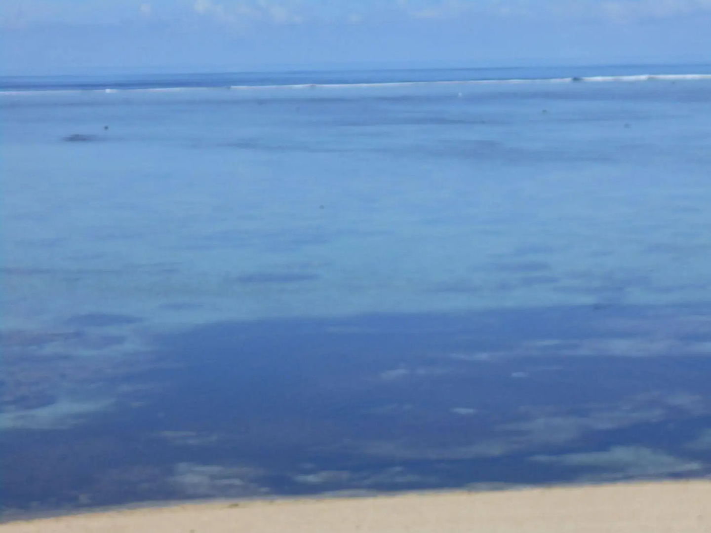 Bedarra Beach Inn