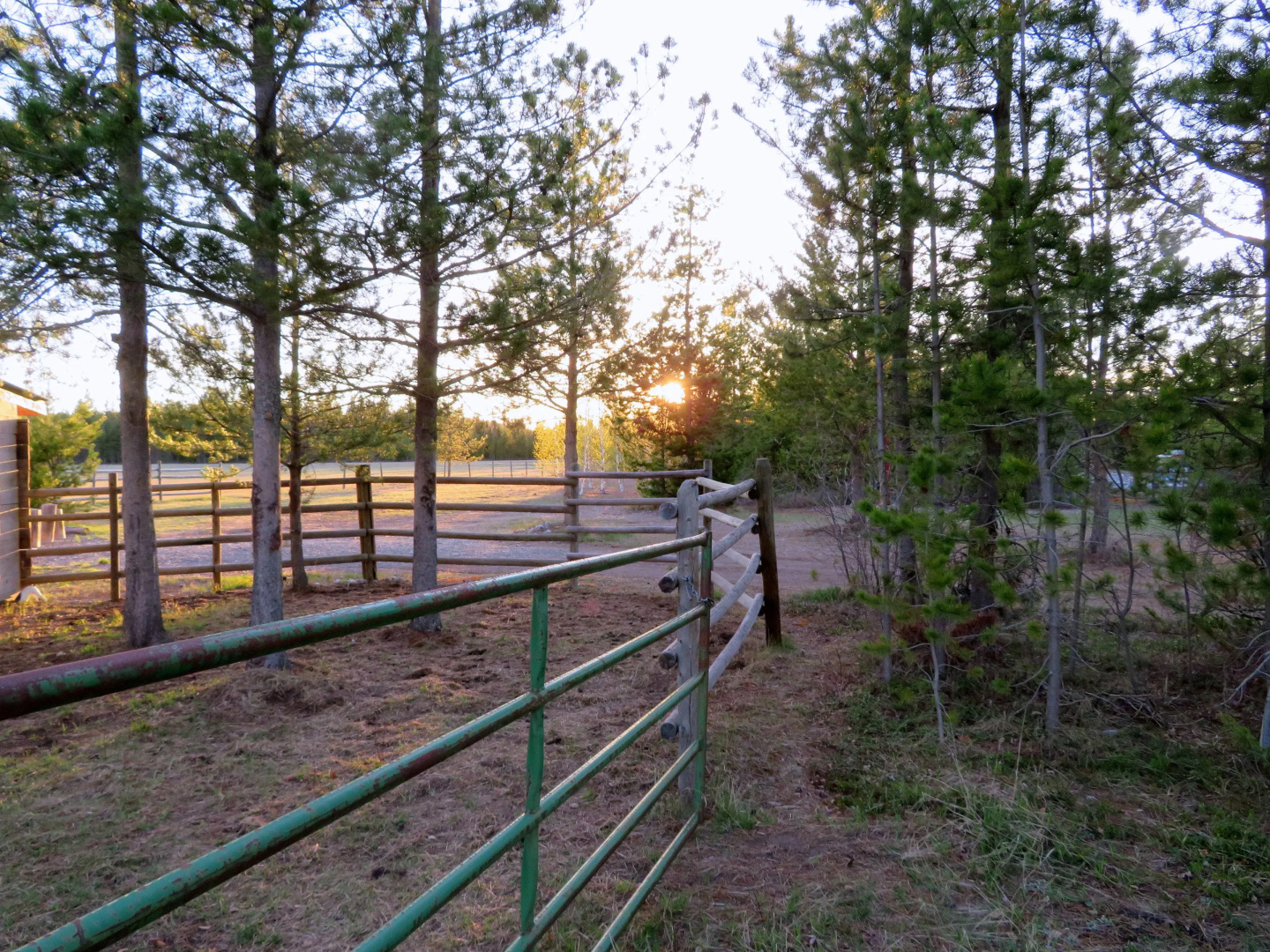Woodhouse Cottages and Ranch