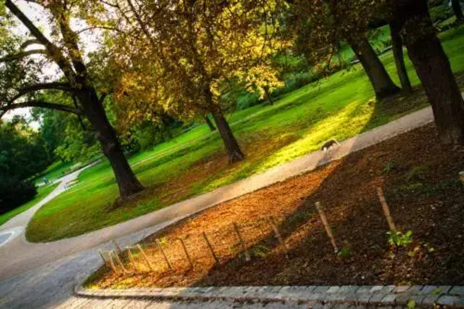 Apartment Belveder Brno