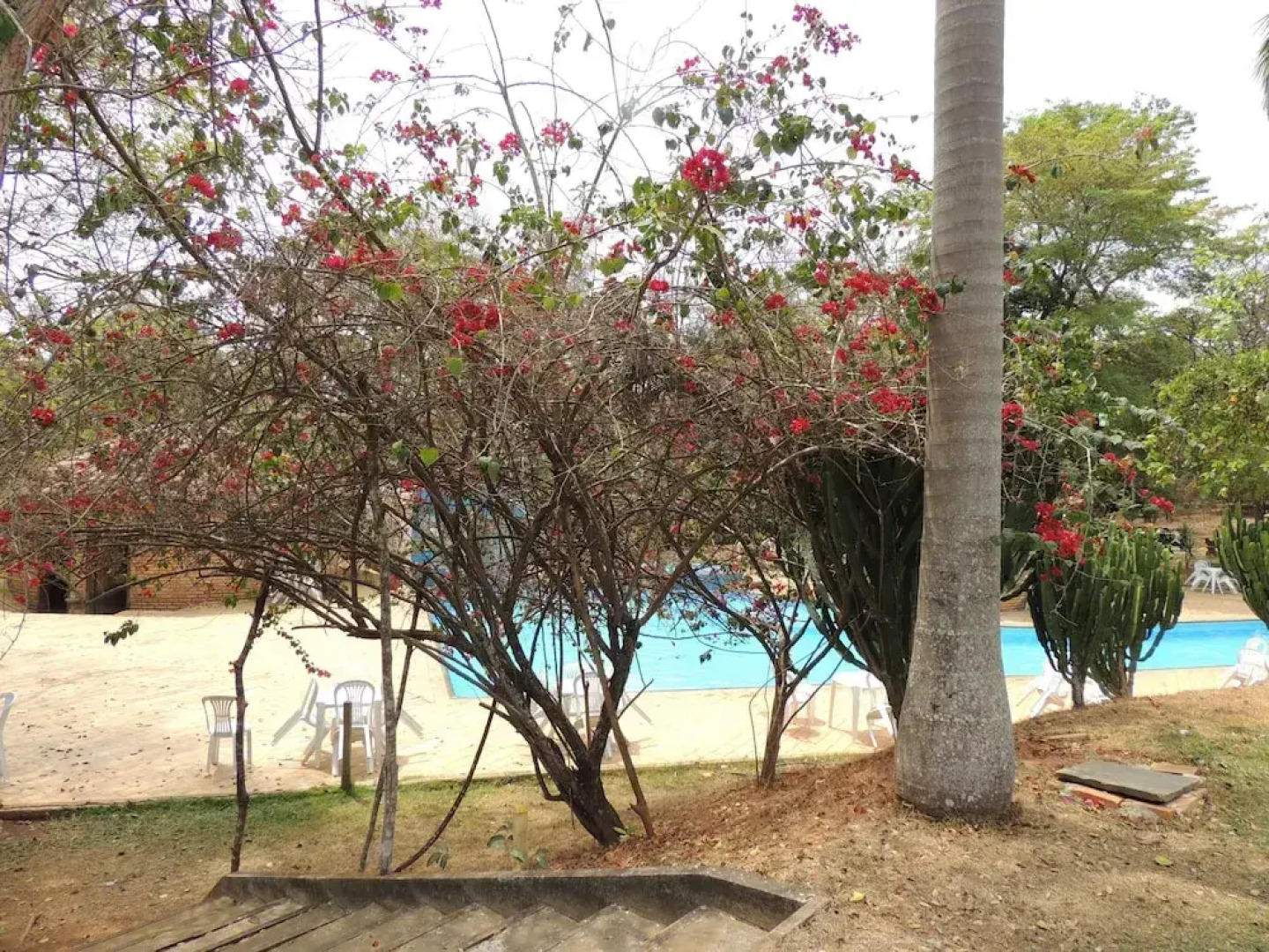 Cep Lago Hotel Ecológico