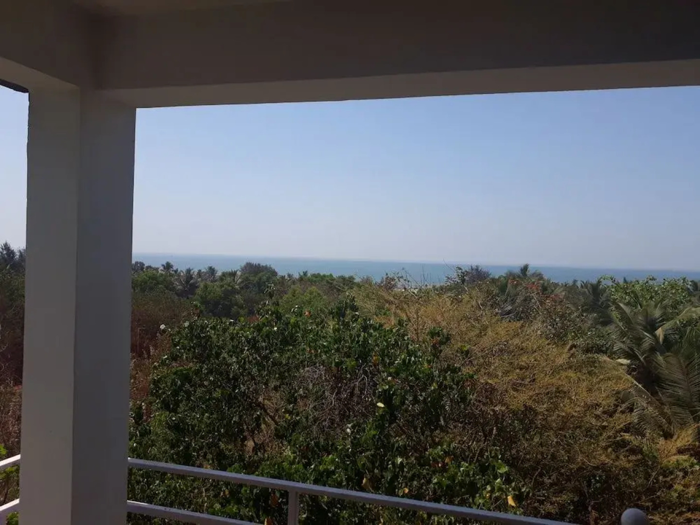 White Feather Apartments