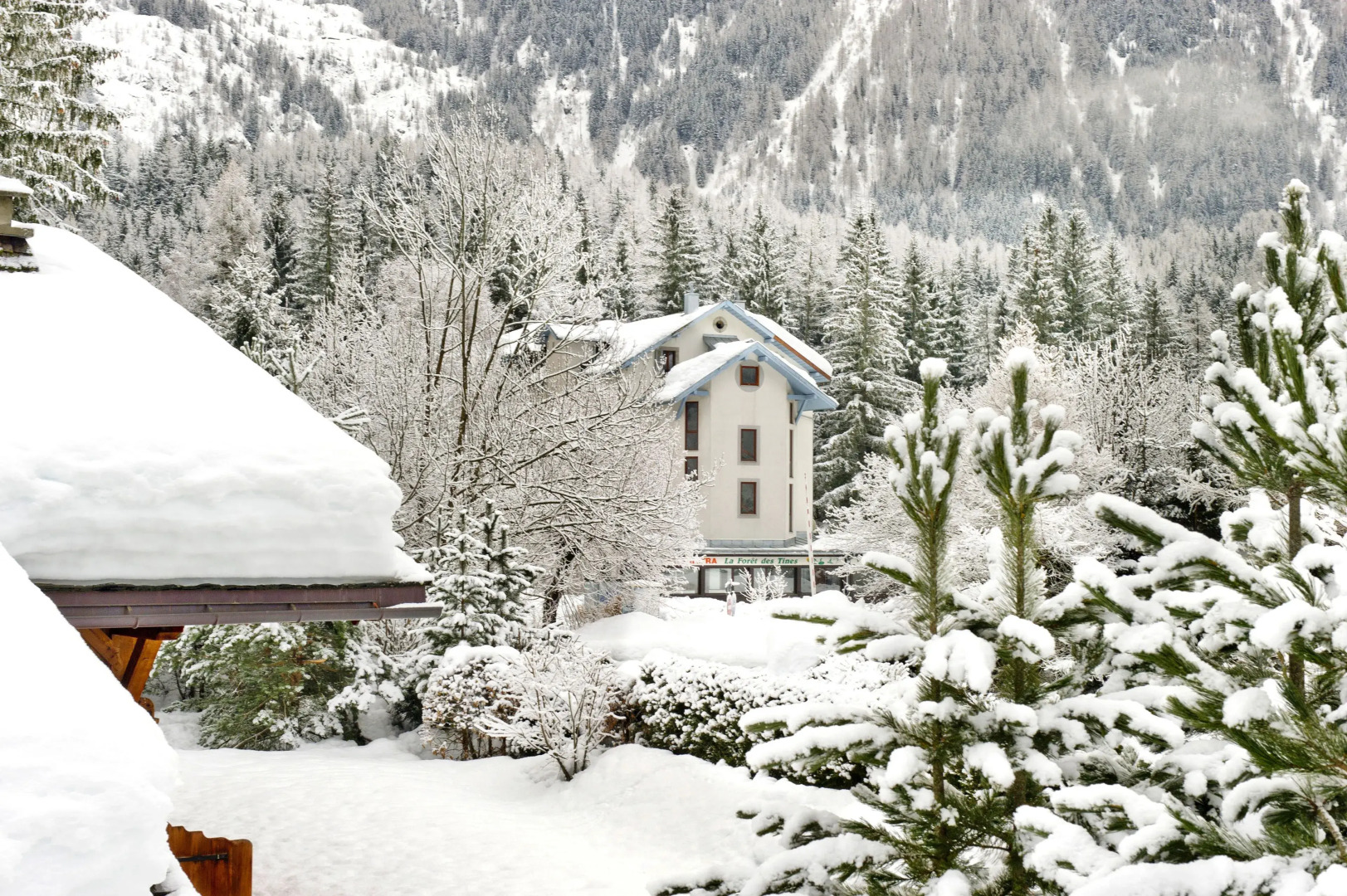 Village Vacances La Foret Des Tines