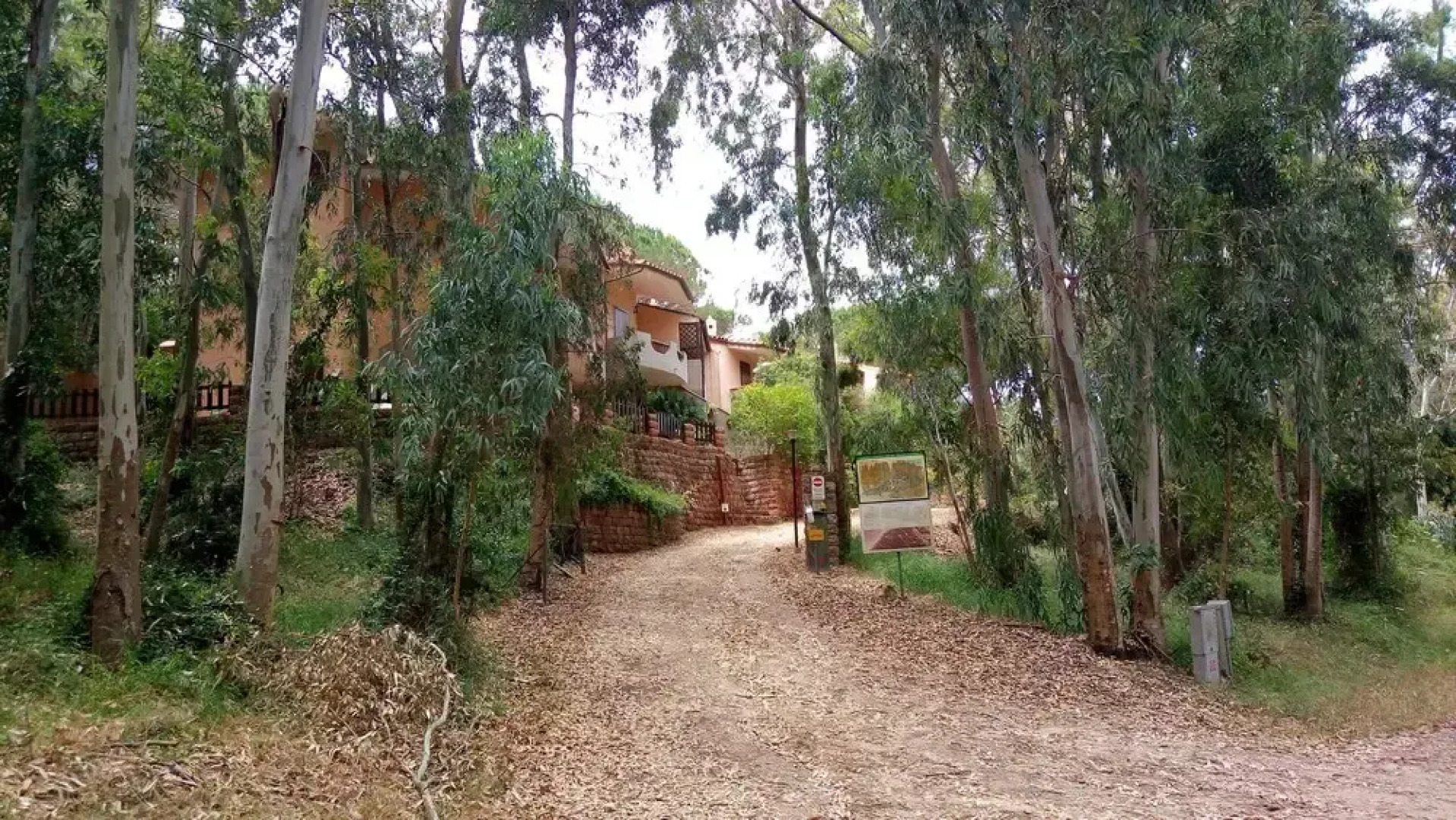 Green House - Woods And Beaches - Sardinia