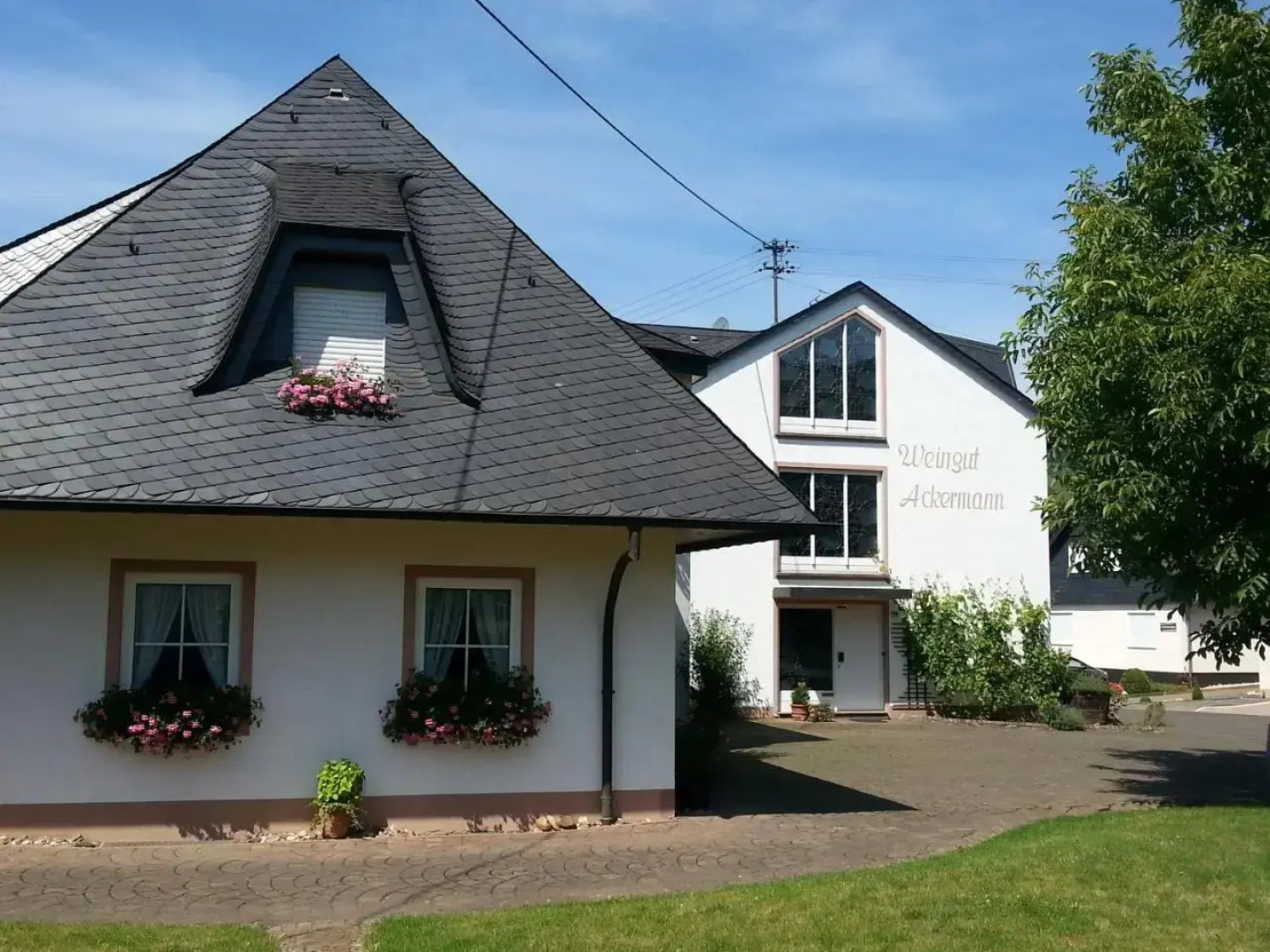 Ferienwohnung Weingut KDM