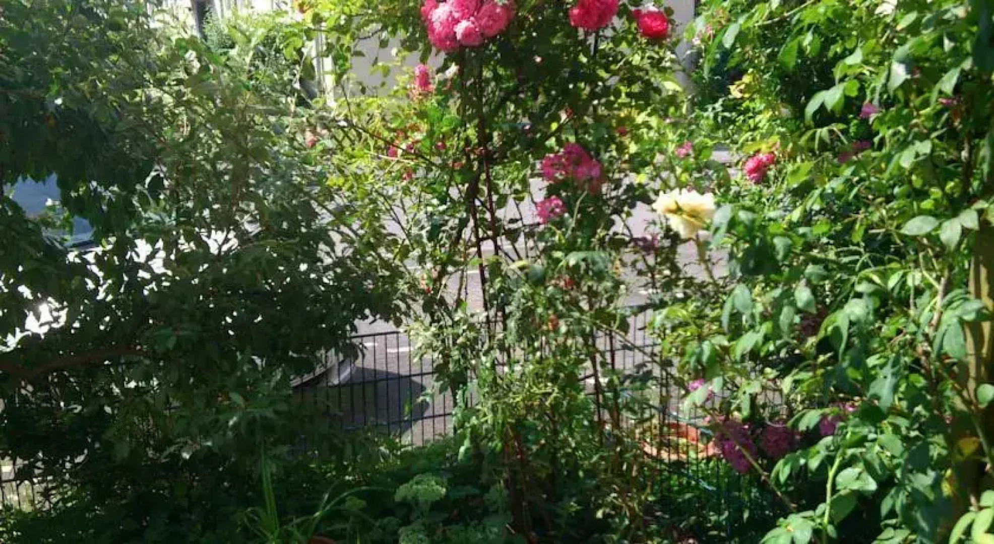 Messewohnung Nähe Düsseldorf