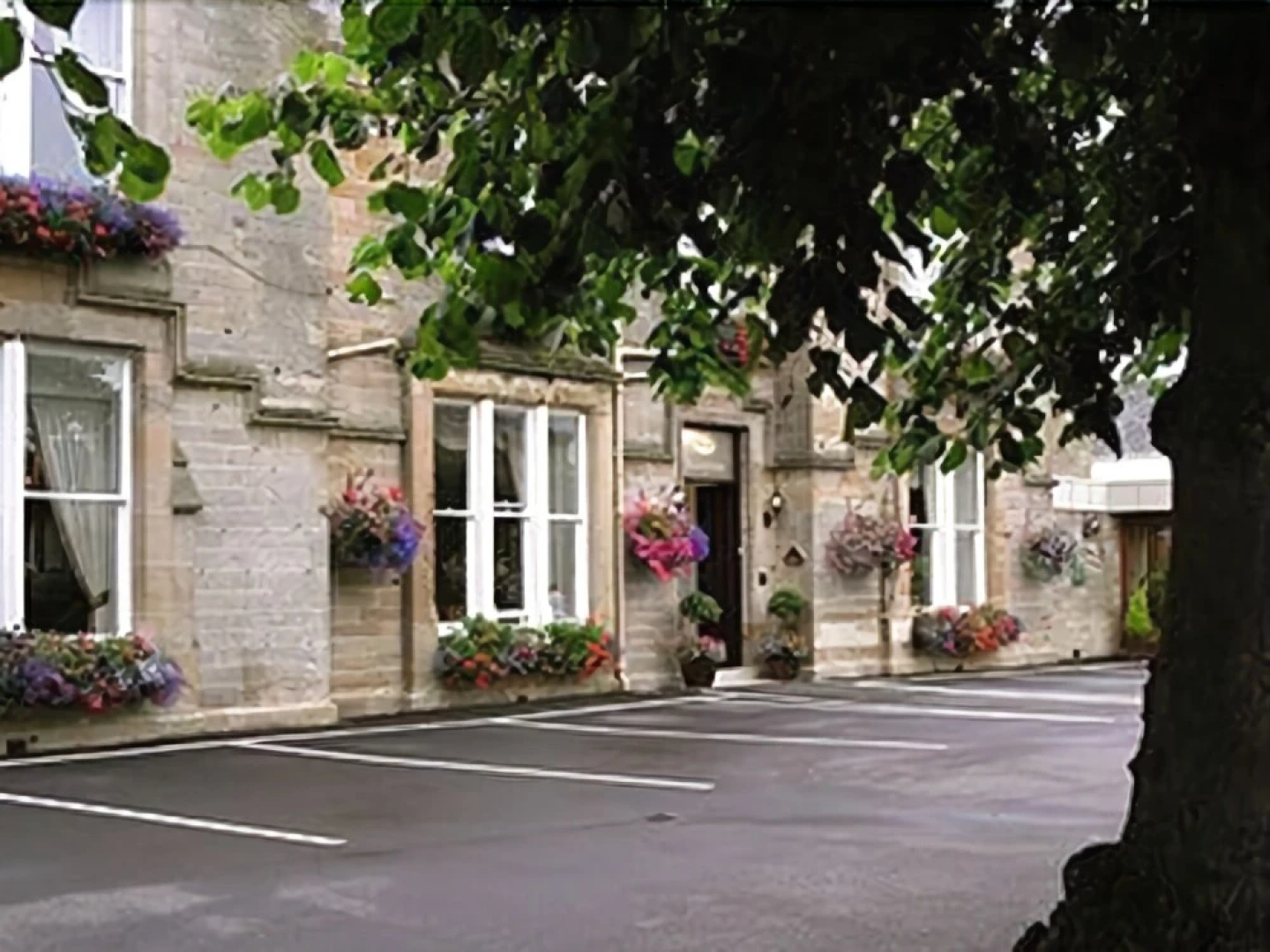 The Fox & Willow